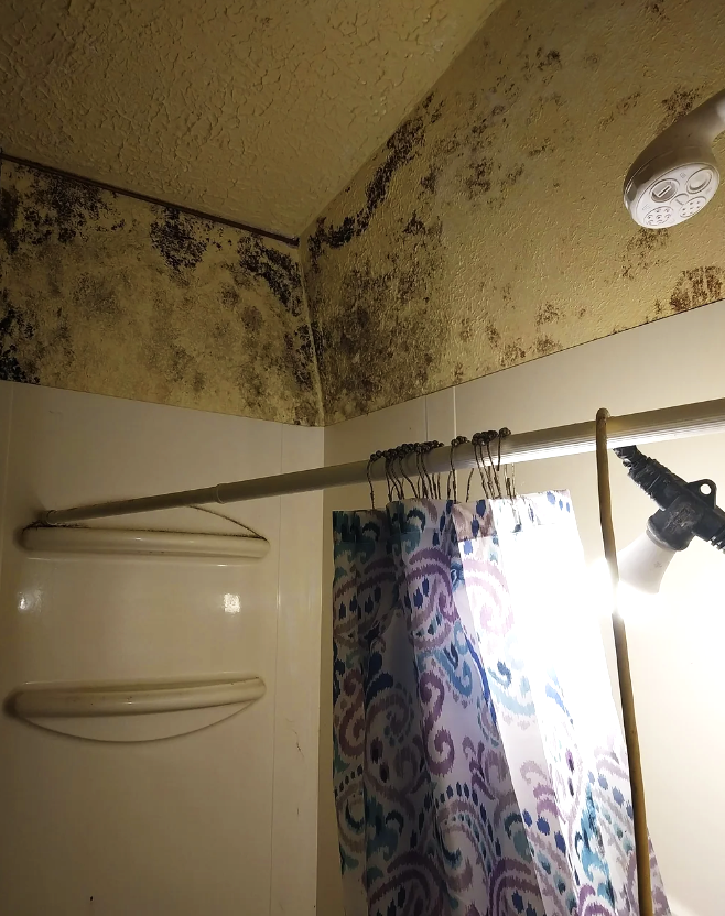 Before and After Mould Removal - Bathroom